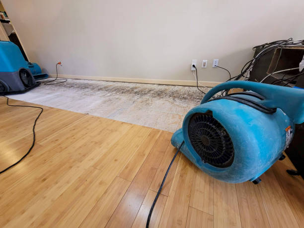 Professional Water Damage Repair technician working in Leavenworth, WA